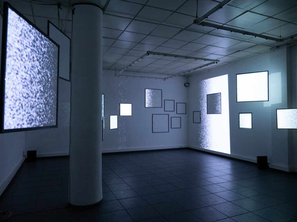 Exposition numérique Cadre2vie — vue 13