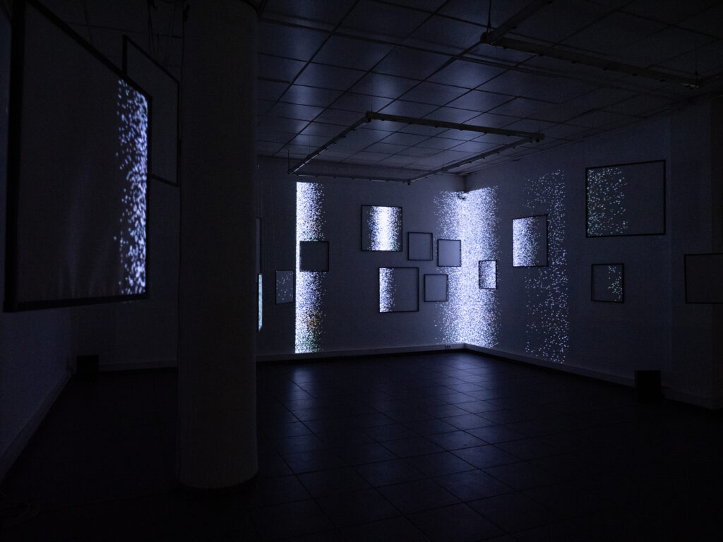 Exposition numérique Cadre2vie — vue 12