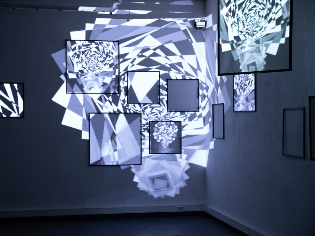 Exposition numérique Cadre2vie — vue 8