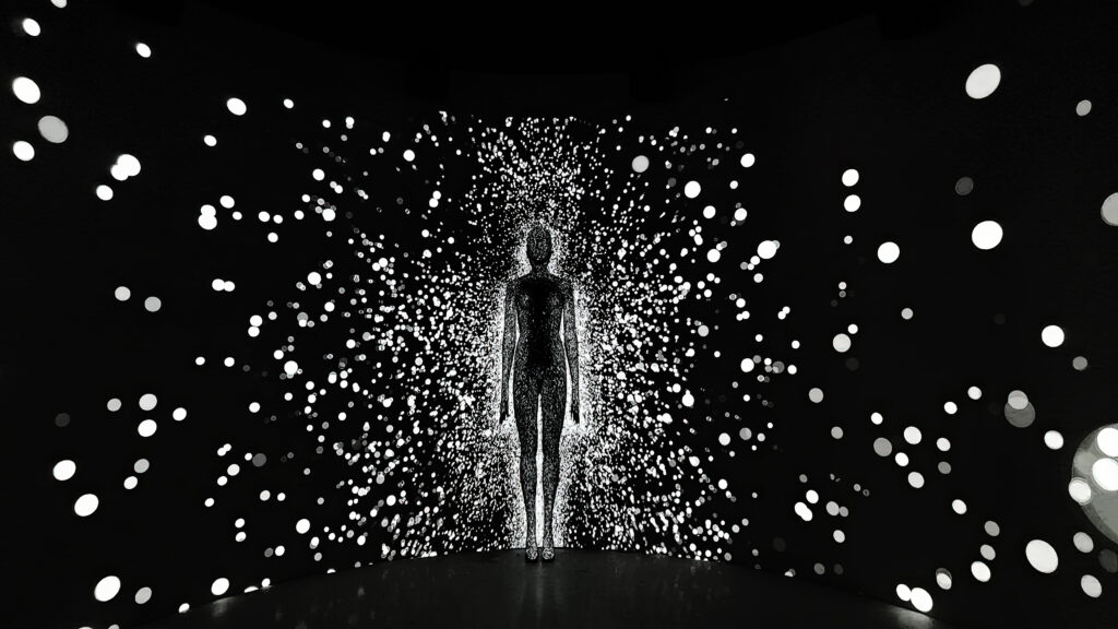 Projection scientifique sur les parois de l’installation