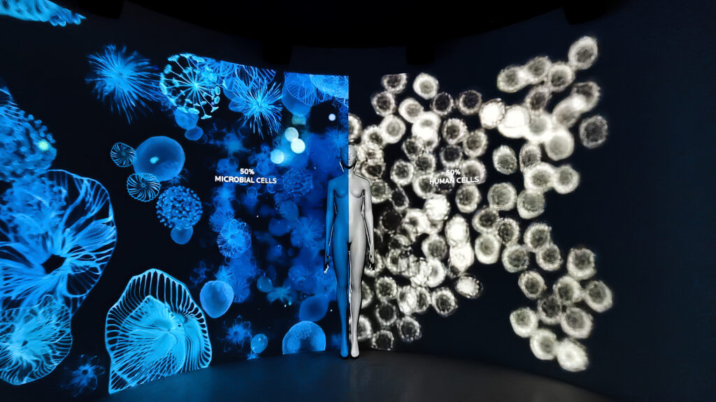 Expérience immersive La Roche-Posay consacrée au microbiome